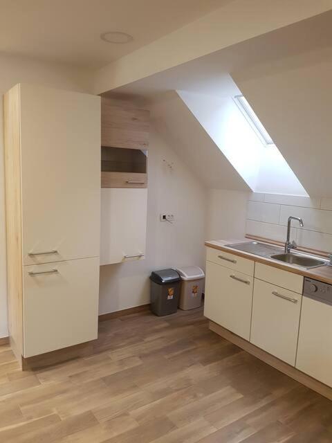 Apartmaji Zupan Bohinjska Bela Ngoại thất bức ảnh