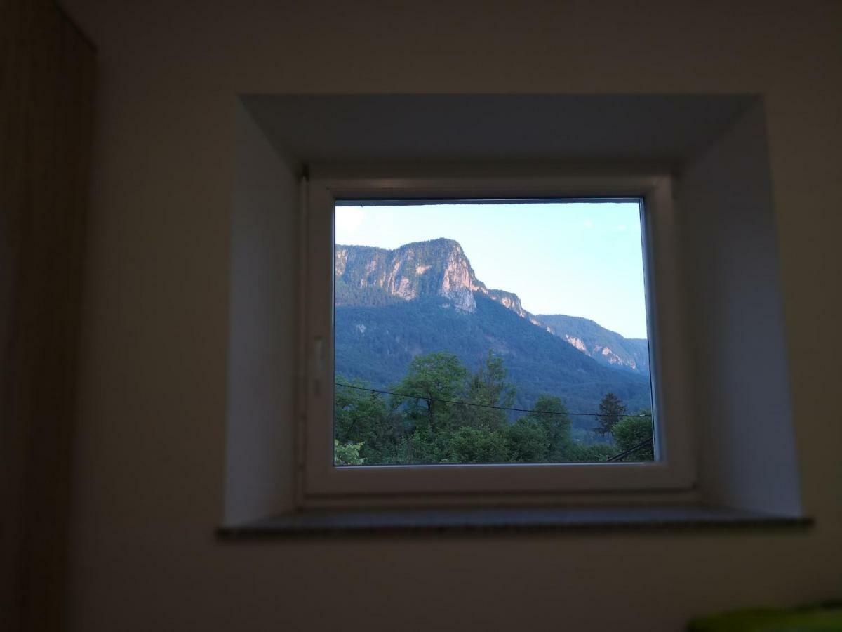 Apartmaji Zupan Bohinjska Bela Ngoại thất bức ảnh